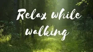 Relax music, a soothing walk in the forest, beautiful nature pleases✨