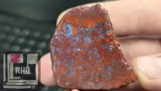 Spring Rockhounding Adventure | Rockhounding A Tree Frog Utopia