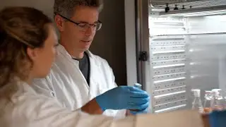 Working at the Biozentrum Basel | World-Class Science & Life in Switzerland