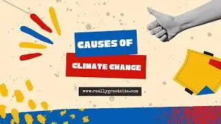 3Q Science Project