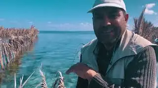 Artisanal Small Scale Fishing in Djerba, Tunisia