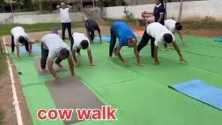 #animals walk 🚶&zwj;♀️ #dailyroutine #motivation #bodybuilding #yogapostures