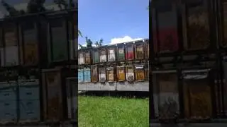 Zempl&eacute;ni ak&aacute;con 2016-06-16-&aacute;n!