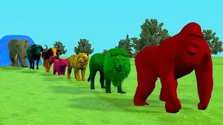 5 Giant Duck Cartoon,Cow,Elephant,Tiger,Lion,Dinosaur,Paint Wild Animals Crossing Fountain Animation