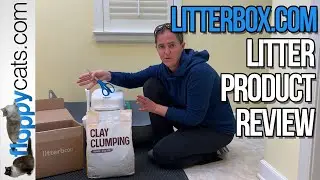 Cat Litter Subscription Product Review: Litterbox.com&trade; Litter
