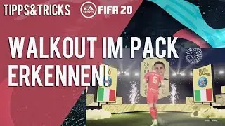 FIFA 20 WALKOUT ERKENNEN !