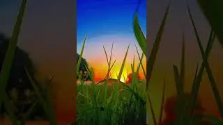 beautiful village status video | village nature status|| 4k status || #status #village #shorts
