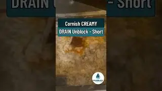 Cornish CREAMY DRAIN Unblock (short ) #shorts