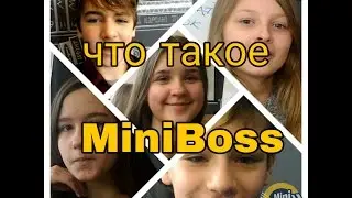 Что такое MiniBoss?