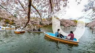 VRLU Experience: Virtual Reality Travel with Alcmy | VRLU