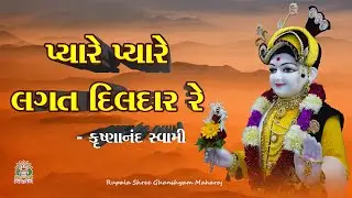 પ્યારે પ્યારે લગત દિલદાર રે || Pyare Pyare Lagat Dil Dar || Krushnanand swami || - Paresh Bhagat ji