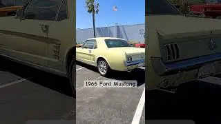 1966 Ford Mustang #ponycar #musclecars #classicmustang ￼ At Crown Classics, Ventura, California