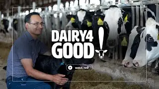 Stein Farms: The Impact of Science on New York Dairy Farms as Told by a Farmworker