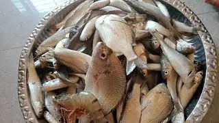 Экономьте деньги, научившись разделывать рыбу 🦈🐠 Научитесь легко разделывать рыбу Панчмишали🥰