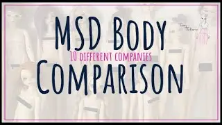 Обзор MSD для коллекционеров кукол для взрослых