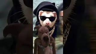 😲 wild child #badpet