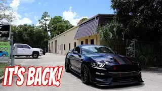 Whipple GT350R is Back! Mantic Twin Disk Clutch