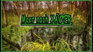 ☂ Outdoor / Gr&uuml;&szlig;e aus dem Moor nach Orkan XAVIER 017 / Vlog ☂