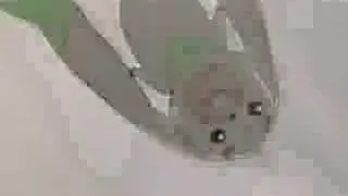 Digimon amv