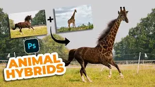 How to Create animal hybrids in this Photoshop | Photoshop Tutorial