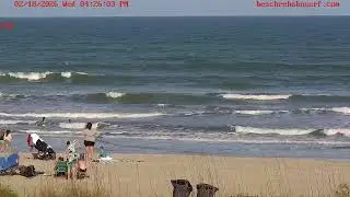 Beach Rehab N Surf Live Stream