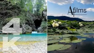 4K, Serene Settings | Enjoy 6 Beautiful Wilderness Areas Over 2 Hours #Nature #Relax #Calm #Selfcare
