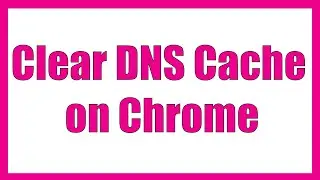 Clear or flush DNS Cache on Chrome