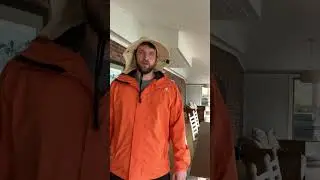 Остановить драку горилл.