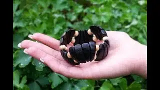Wood Bold Jewelry