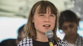 ‘Entitled’:  ‘Useful idiots' in Gaza aid flotilla stunt slammed
