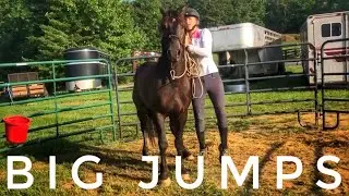 Jumping Big | 2019 Mustang TIP Challenge