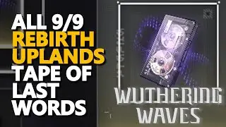 All Rebirth Uplands Tape of Last Words Wuthering Waves