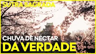 Sutra sagrada CHUVA DE NÉCTAR DA VERDADE (Seicho no ie)