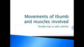 12. Small muscles of hand and movements of the thumb