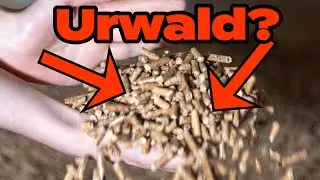 Waldrodungs-Pellets? Quatsch! Hier kommen unsere Holzpellets her. Fakten