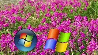 Windows Vista Dies.exe