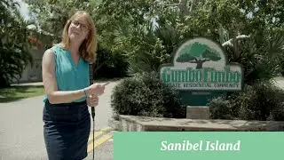 All About Gumbo Limbo on Sanibel Island