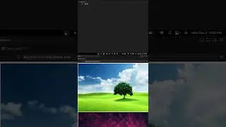 How to create image hover and reflection effect | #HTML #CSS #shorts