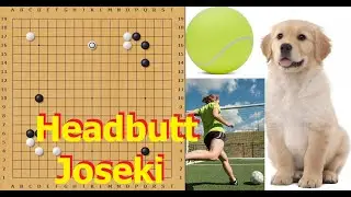 Popular Modern Josekis- Headbutt/Kick