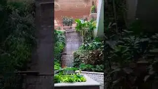 NEW Bangalore T2 Garden #shorts #viral #trending #india #bangalore #new #architecture #garden #green