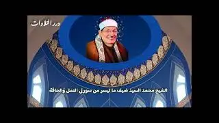 الشيخ محمد السيد ضيف ما تيسر من سورتي النمل والحاقة قرآن السهرة