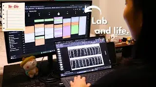 How I balance PhD and life ⚖️ (it's possible, or... not?)