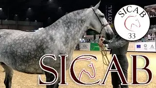 Un día en el SICAB 2023!! || Face Reveal 🙃