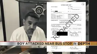 Подробно: На мальчика напали, когда он шел на автобусную остановку, чтобы ехать в школу