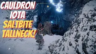 Salt Bite TALL NECK - Cauldron IOTA (Horizon Forbidden West)