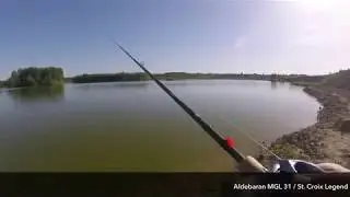 Shimano Aldebaran MGL