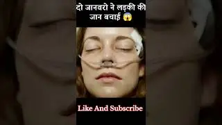 जैक और ड्रिमर ने ऐल्मा की जान बचाई #shorts #Storyexplain