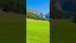 Janshai Meadows Kalam Swat Valley