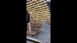 Water transfer printing process