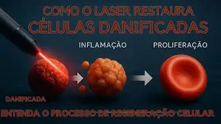 Entenda o Processo de Regenera&ccedil;&atilde;o Celular